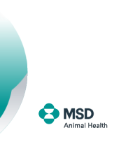 MSD Animal Health Logo
