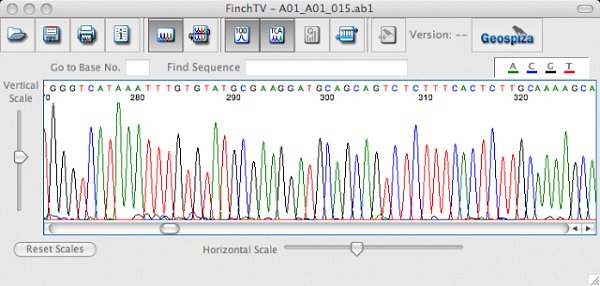 chromatogram