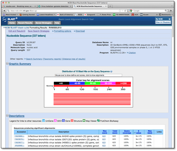 nucleotide sequence