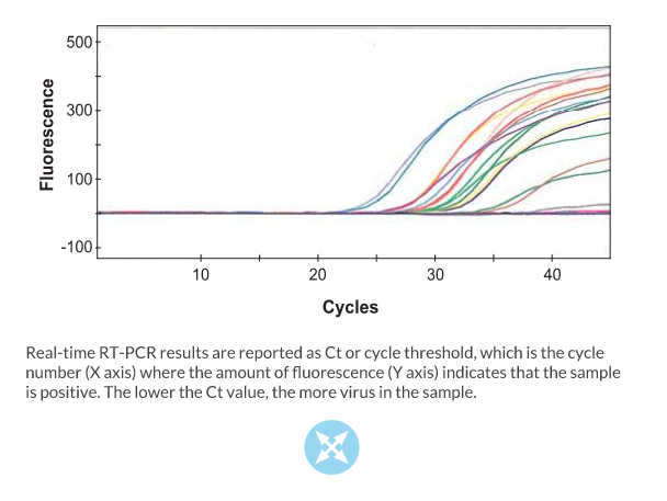 RT-PCR